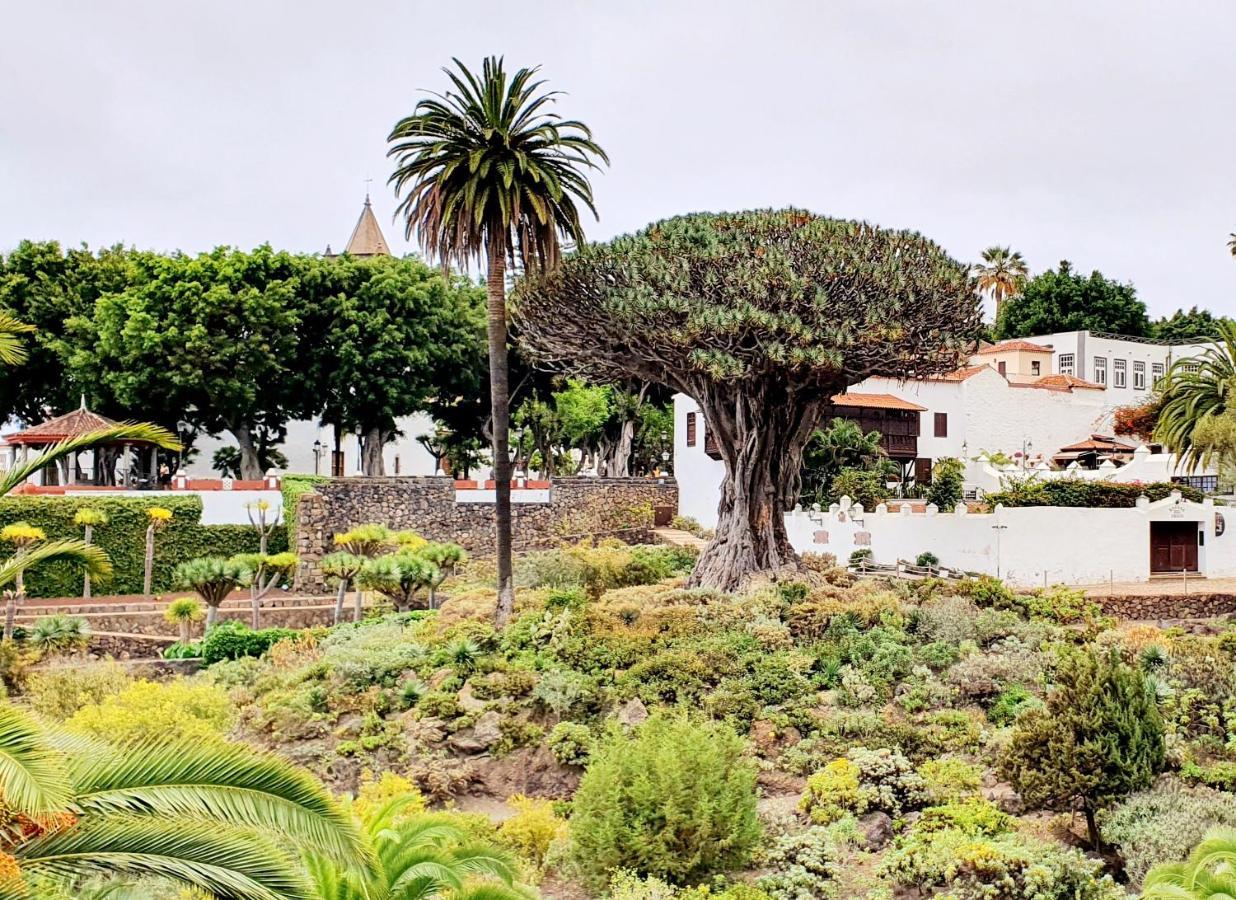 Jema Playa San Marcos By Hrtenerife Net Apartment Icod De Los Vinos
